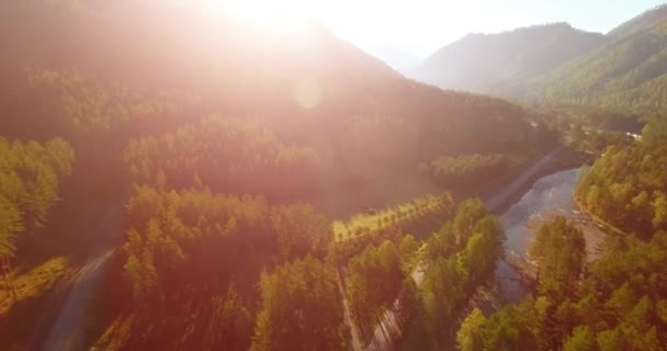 Mid air flight over fresh mountain river and meadow at sunny summer morning. Rural dirt road below. — Stock Video