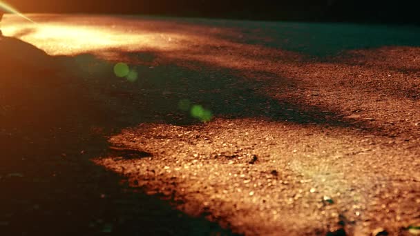 Sport man running at asphalt road. Rural city park. Green tree forest and sun rays on horizon. — Stock Video