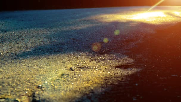 Sport man running at asphalt road. Rural city park. Green tree forest and sun rays on horizon. — Stock Video