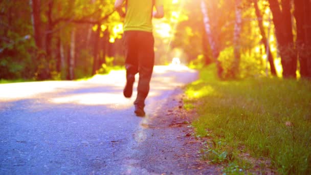 Sport man running at asphalt road. Rural city park. Green tree forest and sun rays on horizon. — Stock Video