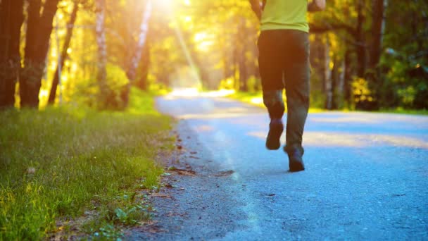 Homem do desporto a correr na estrada de asfalto. Parque rural da cidade. Floresta de árvore verde e raios de sol no horizonte. — Vídeo de Stock