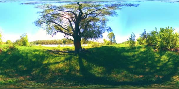 UHD 4K 360 VR La réalité virtuelle d'une rivière coule sur des rochers dans un magnifique paysage de forêt de montagne — Video