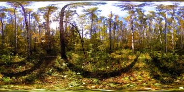 Bir şehir parkının UHD 4K 360 VR Sanal Gerçekliği. Sonbaharda ya da yaz gününde ağaçlar ve yeşil çimenler