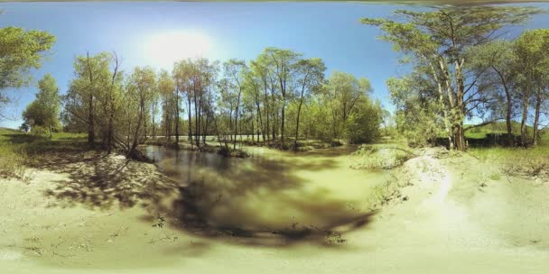 UHD 4K 360 VR La realidad virtual de un río fluye sobre rocas en un hermoso paisaje de bosque de montaña — Vídeo de stock