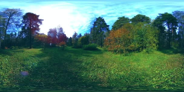 UHD 4K 360 VR Virtual Reality van een recreatiegebied in een stadspark. Bomen en groen gras op herfst- of zomerdag — Stockvideo