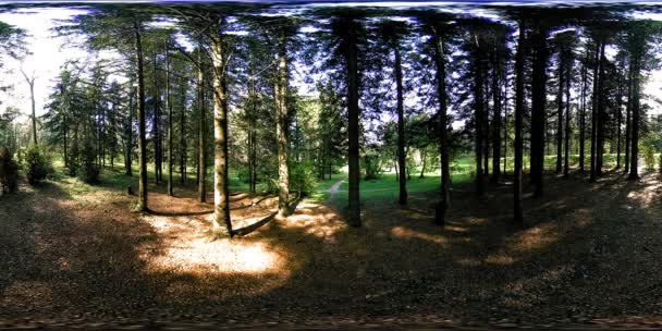 UHD 4K 360 VR Realtà Virtuale di un'area ricreativa del parco cittadino. Alberi ed erba verde al giorno d'autunno o d'estate — Video Stock