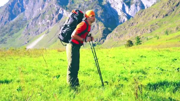 Wandersmann auf der grünen Bergwiese mit Rucksack. Sommersport- und Freizeitkonzept. — Stockvideo