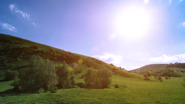 山の牧草地の夏にはタイムラプス。雲、木、緑の草、太陽光線の動き. — ストック動画