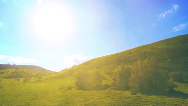 Timelapse de prairie de montagne à l'été. Nuages, arbres, herbe verte et mouvement des rayons du soleil. — Video