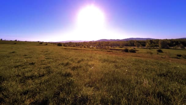 4K UHD prairie de montagne timelapse à l'été. Nuages, arbres, herbe verte et mouvement des rayons du soleil.