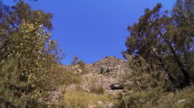 Yazın 4K UHD dağ zaman dilimi. Bulutlar yeşil ağaçları ve güneş ışınlarını hareket ettirir.