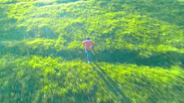 Vuelo sobre el hombre deportivo corriendo en la hierba verde perfecta pradera rural offroad. Puesta de sol en montaña — Vídeo de stock