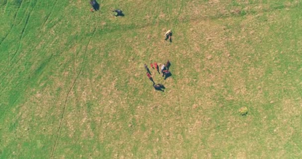 Flyg över vilda hästar hjord på fjälläng. Sommarberg vild natur. Frihetsekologi. — Stockvideo