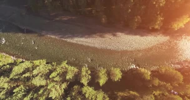 Μέση πτήση αέρα πάνω από φρέσκο και καθαρό ποτάμι βουνό στο ηλιόλουστο πρωινό του καλοκαιριού. Κατακόρυφη κίνηση — Αρχείο Βίντεο