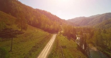 Taze dağ nehir ve çayır güneşli yaz sabahı, orta hava uçuş. Kırsal toprak yol aşağıda. İnek ve araba.