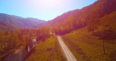 Taze dağ nehir ve çayır güneşli yaz sabahı, orta hava uçuş. Kırsal toprak yol aşağıda. İnek ve araba.