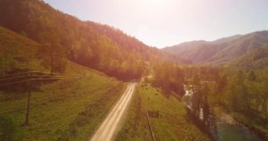 Taze dağ nehir ve çayır güneşli yaz sabahı, orta hava uçuş. Kırsal toprak yol aşağıda. İnek ve araba.