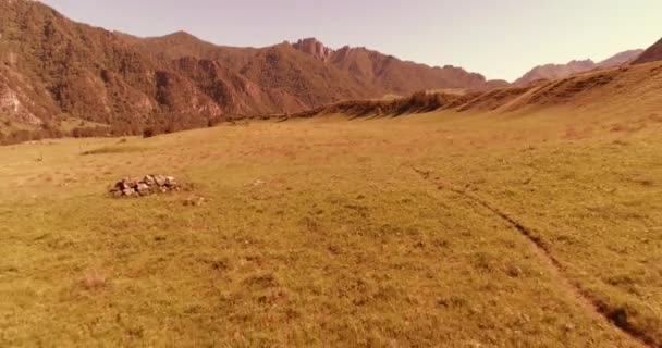 Vlucht over wilde paarden kudde op weide. Lente bergen wilde natuur. Vrijheid ecologisch concept. — Stockvideo