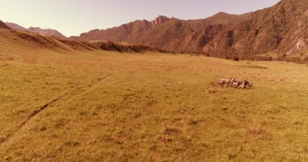 Vuelo sobre el rebaño de caballos salvajes en el prado. Primavera montañas naturaleza salvaje. Concepto de ecología de libertad. — Vídeos de Stock