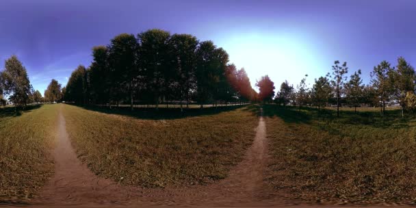 UHD 4K 360 VR Realidad virtual de un área recreativa del parque de la ciudad. Árboles y hierba verde en el día de otoño o verano — Vídeos de Stock