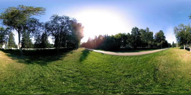 UHD 4K 360 VR Virtual Reality van een recreatiegebied in een stadspark. Bomen en groen gras op herfst- of zomerdag — Stockvideo