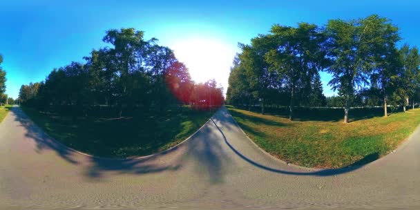 UHD 4K 360 VR Virtual Reality of a city park recreation area. Trees and green grass at autumn or summer day — Stock Video
