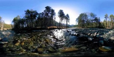 Vahşi dağların, çam ormanlarının ve nehir akışlarının 360 VR sanal gerçekliği. Ulusal park, çayır ve güneş ışınları.