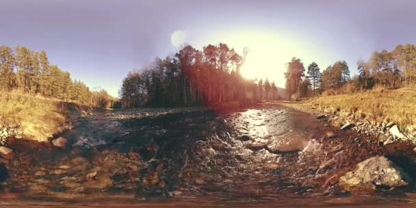 360 VR virtuelle Realität eines wilden Gebirges, Kiefernwaldes und Flusses fließt. Nationalpark, Wiese und Sonnenstrahlen. — Stockvideo