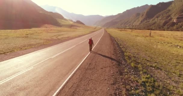 Asfalt yolda yürüyen otostopçu turist üzerinden uçuş. Yaz günü büyük bir kırsal vadi. Sırt çantalı gezgin.. — Stok video