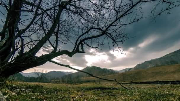 Time lapse di albero della morte e erba gialla secca a paesaggio montano con nuvole e raggi di sole. Movimento cursore orizzontale — Video Stock