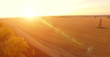 UHD 4K hava görüntüsü. Sarı kırsal alan ve toprak yol üzerinde orta-uçuş