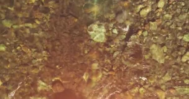 Vol en vol au-dessus d'une rivière de montagne fraîche et propre au matin ensoleillé d'été. Vue de dessus et mouvement horizontal