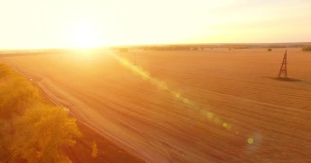 Widok z powietrza UHD 4K. Lot w powietrzu nad żółtym polem wiejskim i polną drogą — Wideo stockowe