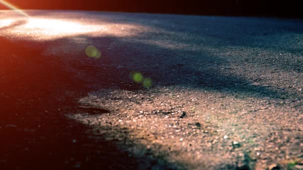 Sport man running at asphalt road. Rural city park. Green tree forest and sun rays on horizon. — Stock Video