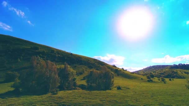 4K UHD prairie de montagne timelapse à l'été. Nuages, arbres, herbe verte et mouvement des rayons du soleil. — Video