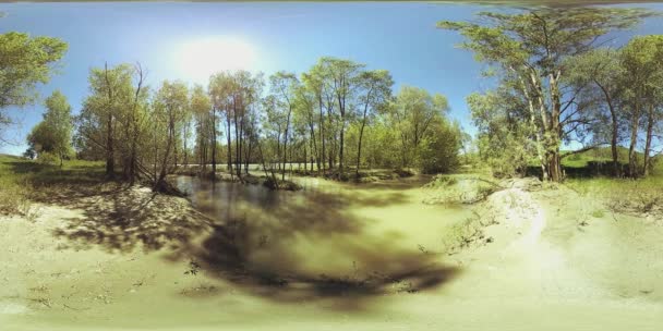 UHD 4K 360 VR La realidad virtual de un río fluye sobre rocas en un hermoso paisaje de bosque de montaña — Vídeo de stock