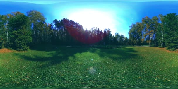 UHD 4K 360 VR Realtà Virtuale di un'area ricreativa del parco cittadino. Alberi ed erba verde al giorno d'autunno o d'estate — Video Stock