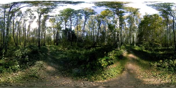 UHD 4K 360 VR Réalité virtuelle d'un parc municipal zone de loisirs. Arbres et herbe verte le jour d'automne ou d'été — Video