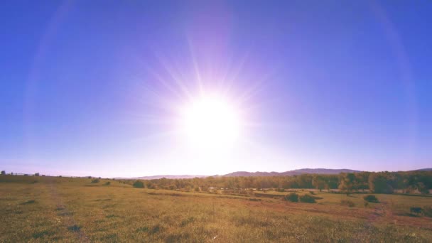 4K UHD górska łąka timelapse w lecie. Chmury, drzewa, zielona trawa i promieniowanie słoneczne. — Wideo stockowe