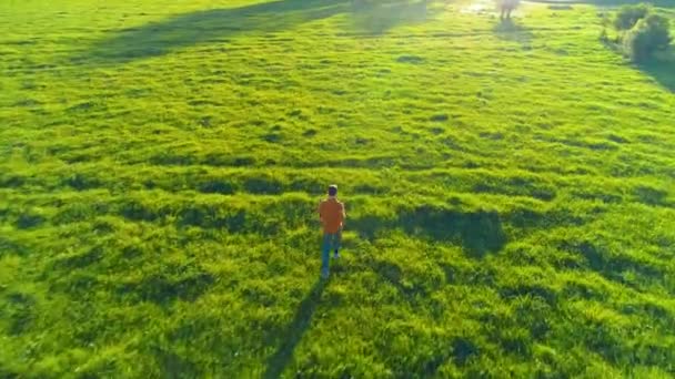 Vuelo sobre el hombre deportivo corriendo en la hierba verde perfecta pradera rural offroad. Puesta de sol en montaña — Vídeo de stock