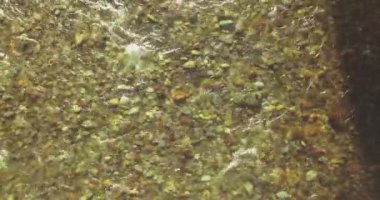 Güneşli yaz sabahında temiz ve taze bir dağ nehri üzerinde uçuşun ortasındayız. Üst görünüm ve yatay hareket