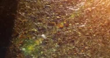 Güneşli yaz sabahında temiz ve taze bir dağ nehri üzerinde uçuşun ortasındayız. Üst görünüm ve yatay hareket