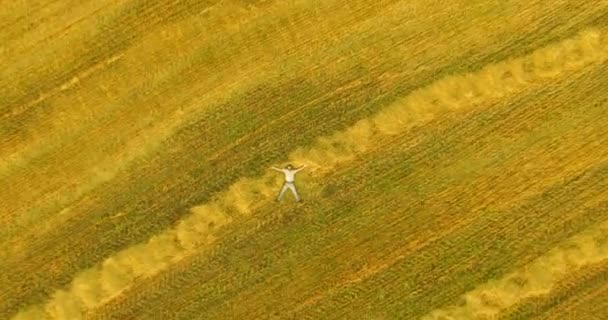 Вид с воздуха. Вертикальный полет над человеком, лежащим на желтом пшеничном поле — стоковое видео