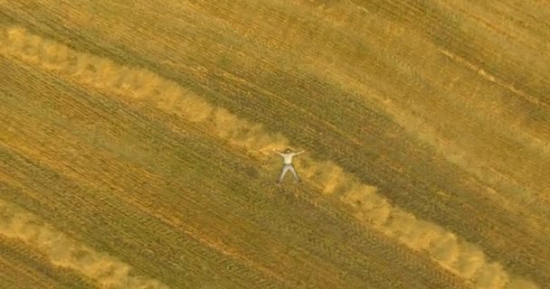 Widok z lotu ptaka. Pionowy ruch lotu nad człowieka leżącego na polu pszenicy żółty — Wideo stockowe