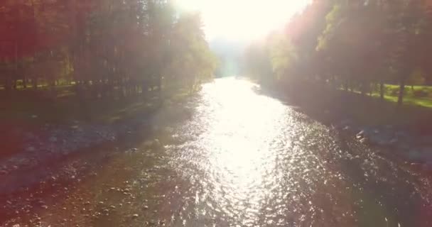 Vuelo en medio del aire sobre un río de montaña fresco y limpio en la soleada mañana de verano — Vídeo de stock