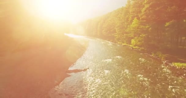 Vol en vol au-dessus d'une rivière de montagne fraîche et propre au matin ensoleillé d'été — Video