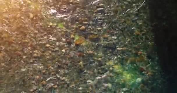 Güneşli yaz sabahında temiz ve taze bir dağ nehri üzerinde uçuşun ortasındayız. Üst görünüm ve yatay hareket — Stok video