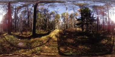 4k Sonbahar zaman bir güzel dağ sahnenin 360 Vr sanal gerçeklik. Vahşi Rus dağlar.