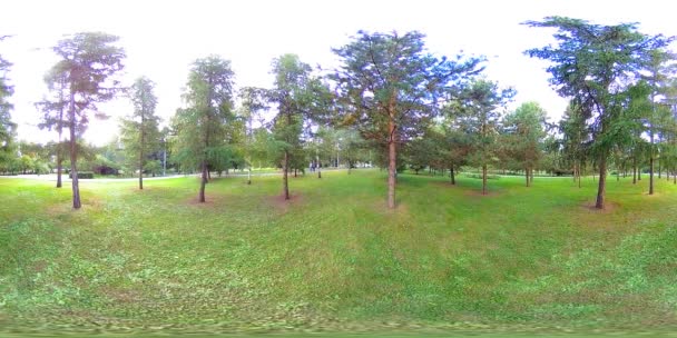 UHD 4K 360 VR Virtual Reality of a city park recreation area. Trees and green grass at autumn or summer day — Stock Video