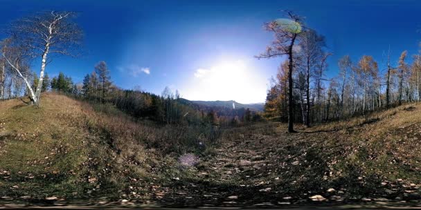 4K 360 VR virtual Reality of a beautiful mountain scene at the autumn time. Wild Russian mountains. — Stock Video